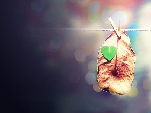 陪伴是最长情的告白